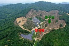 [기고] 그린 뉴딜정책이 대한민국의 숲을 위협하고 있다