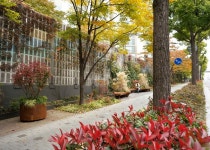 강동구, 걷고 싶은 청정 가로숲 조성...124종 식물 심고 화분형 벤치 마련