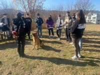 강동구, 2021년 상반기 반려견 행동전문가 양성과정 참여자 모집
