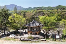 “화림동 계곡에서 탁족 한번 해보는 것이 소원이라더니”