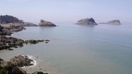 게·짱뚱어 노니는 갯벌에 모세의 기적이