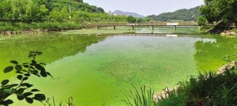 풍암저수지 여름철 녹조현상 ‘눈살’