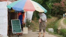 담양 명옥헌 원림 관리 소홀 ‘도마위’