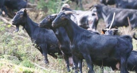 정직한 유통관리…농가·소비자 만족 ‘뉴패러다임’ 쓴다