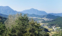 ‘정읍사’ 천년사랑이 오늘날 부부애로 이어지다