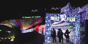 보성차밭 ‘찬란한 희망의 빛’ 밝히다