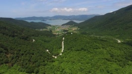 완도수목원 동백군락지 ‘친환경 인증