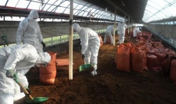 31사단 장병들 AI 대민 지원