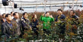 강진 ‘전국 화훼산업 1번지’ 자리매김