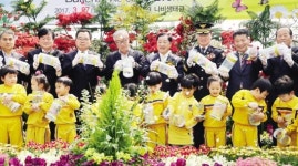 “함평 나비보러 오세요”