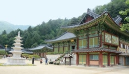 오대산 중대는 최고 명당, 그 곳에 가면 ‘탐진치’에 물든 자신을 볼 수 있다