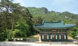 1천400여 년 전, 무릉도원 명당 터에 부처님 진신사리 봉안한 복지(福地)