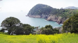 [장갑수와 함께 걷는 길] 여수 하화도 꽃섬길