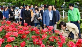 서구 풍암호수 ‘장미원’ 개장