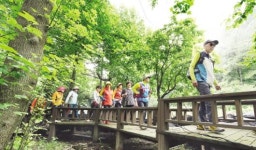 강진 ‘초당림’ 숲속 힐링체험 개방