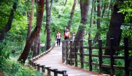 화순 만연산서 힐링하세요
