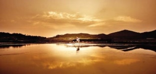 신안군관광협의회자은둔농수특산물판매장 | 신안 ‘섬으로 떠나는 여행상품’ 주목
