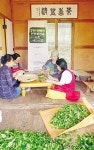 강진 전통차 원형 복원 목포대 제다시연 행사
