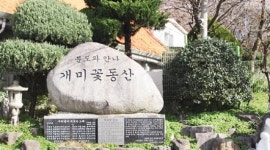 [문화 원형의 보고 광주 사직동]  사직동의 인물