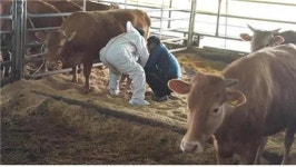 해남 축산농가 종합컨설팅 호응