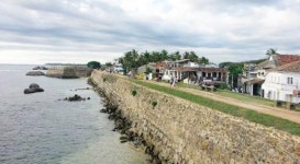 [문병채 박사의 신 해양실크로드] 동서교역의 관문 ‘스리랑카’ (2)