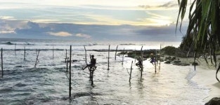 [문병채 박사의 신 해양실크로드] 동서교역의 관문 ‘스리랑카’ (4)