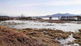 [장갑수와 함께 걷는 길] 창녕 우포늪 생명길