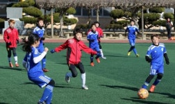 장흥 동계 전지훈련지 인기몰이