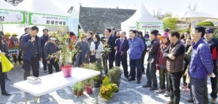 순천만국가정원 꽃과 나무시장 오픈