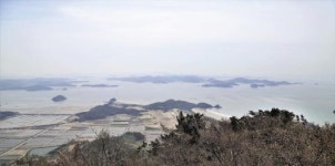 [장갑수와 함께 걷는 길] 임자도 대둔산 불갑산 튤립공원