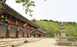 [장갑수와 함께 걷는 길] 김천 인현왕후길