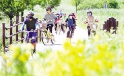 안전한 자전거 이용 배워요