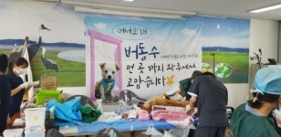 순천농업기술센터 유기견 진료봉사