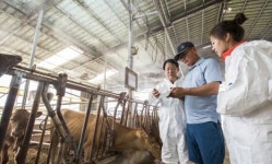 폭염 피해예방 축사점검