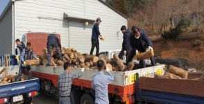 보성군, 사랑의 땔감 나눔 봉사