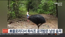 미국 플로리다서 화식조 공격받은 남성 숨져