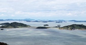 [장갑수와 함께 걷는 길] 신안 박지도·반월도 트레킹