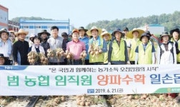 광주비아농협, 광산구 산월동 양파수확 일손돕기