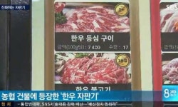 외속농협자판기 | 잼라이브 오늘의 힌트 '버튼만 누르면 나오는 고기'