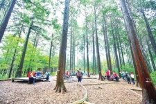 ‘올 여름 피서, 장성 축령산 편백숲에서…’