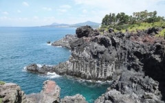 [장갑수와 함께 걷는 길] 제주 올레 8코스