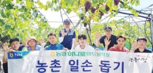 농협하나로마트 남악점, 포도 농가 일손돕기 나서