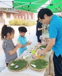 ‘한가위 오색 송편 빚기 체험하세요’
