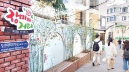 조선대 후문 장미의 거리 ‘가을청년문화축제’