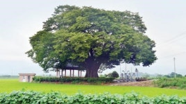 [남도의 명품마을을 찾아서] 영암 엄길마을