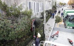 북구, 인도변 화단수목 가지치기