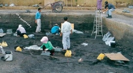 [문화도시가 품은 국립광주박물관 이야기] 광주 신창동 유적