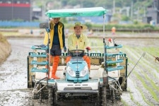 순천 별량면 ‘논아트’ 모내기