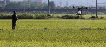 강진 남포마을 드론 방제