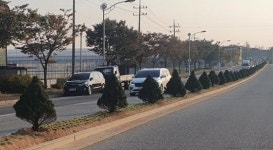 해남군, 특색있는 가로경관 눈길